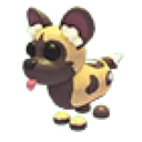 African Wild Dog
