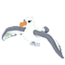 Albatross
