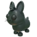 Amami Rabbit