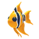 Angelfish