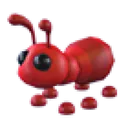Ant