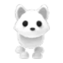 Arctic Fox
