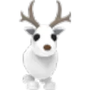 Arctic Reindeer