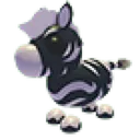 Ash Zebra