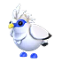 Bali Starling