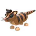 Banded Palm Civet