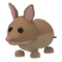 Bandicoot
