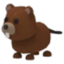 Beaver