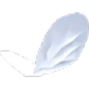Bee Wings