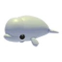 Beluga Whale
