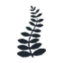 Black Fern