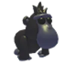 Black Macaque