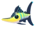 Black Marlin