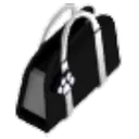 Black Purse