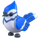 Blue Jay