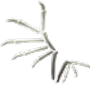 Bone Wings