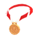 Bronze Medal