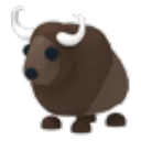 Buffalo