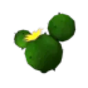 Cactus Balloon