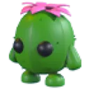 Cactus Friend