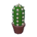 Cactus Plushie Chew Toy