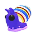 Candy Cane Snail