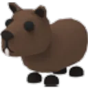 Capybara
