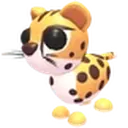 Cheetah