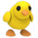 Chick