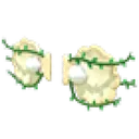 Clam Wings