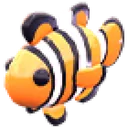Clownfish