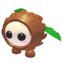 Coconut Friend
