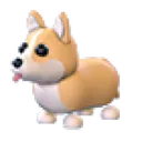 Corgi