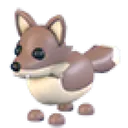Coyote