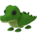 Crocodile