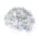 Dandelion Hat
