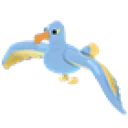 Diamond Albatross