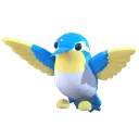 Diamond Hummingbird