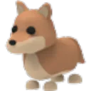 Dingo