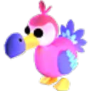 Dodo