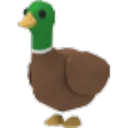 Drake