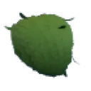 Eco Green Leaf Afro