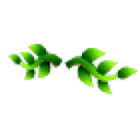 Eco Green Vine Mustache