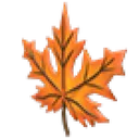 Eco Orange Maple Headpiece