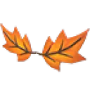 Eco Orange Maple Leaf Mustache