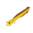 Eel