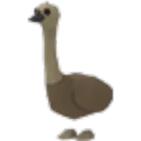 Emu