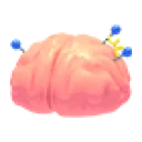 Exposed Brain