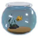 Fishbowl Hat