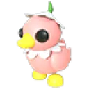 Flower Power Duckling